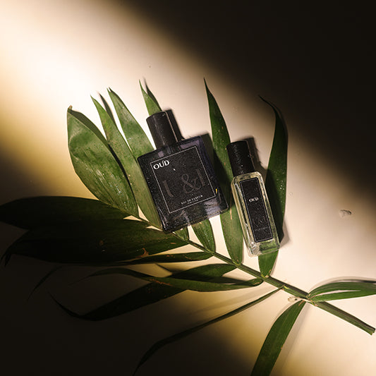 Oud Luxe Fragrance