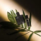 Oud -  Luxe Fragrance - U&I