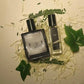 Oud -  Luxe Fragrance - U&I
