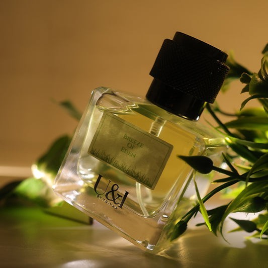 U&I Breeze of Eden perfume bottle with a black cap, surrounded by green leaves in soft, warm lighting.