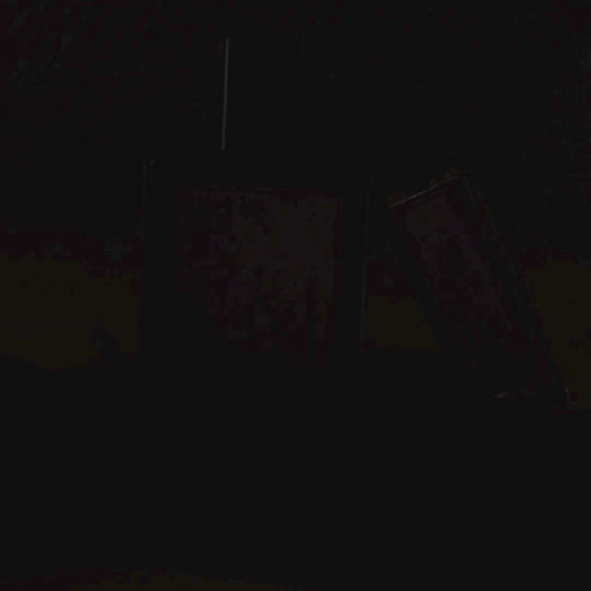 Salt N Silk -  Luxe Fragrance